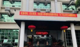 东莞口罩厂爆料最新消息,揭秘口罩生产一线实况与挑战